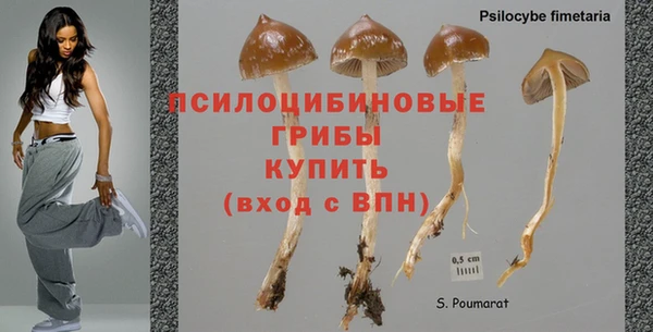 бошки Алексеевка