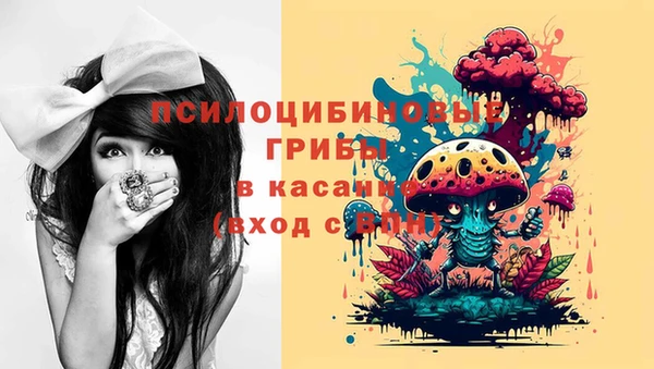 спайс Алексин
