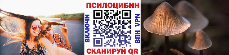 Псилоцибиновые грибы Psilocybine cubensis  Елец 